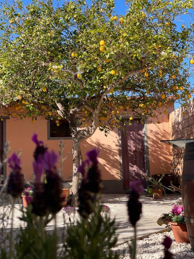 Su Fassoi Cabras B&B 외부 사진